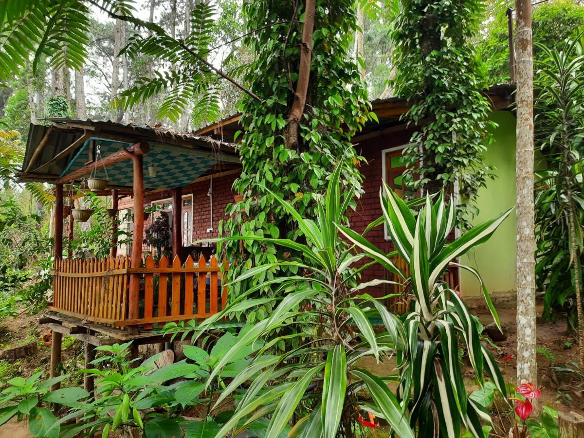 אלה Green Heaven Lodge מראה חיצוני תמונה