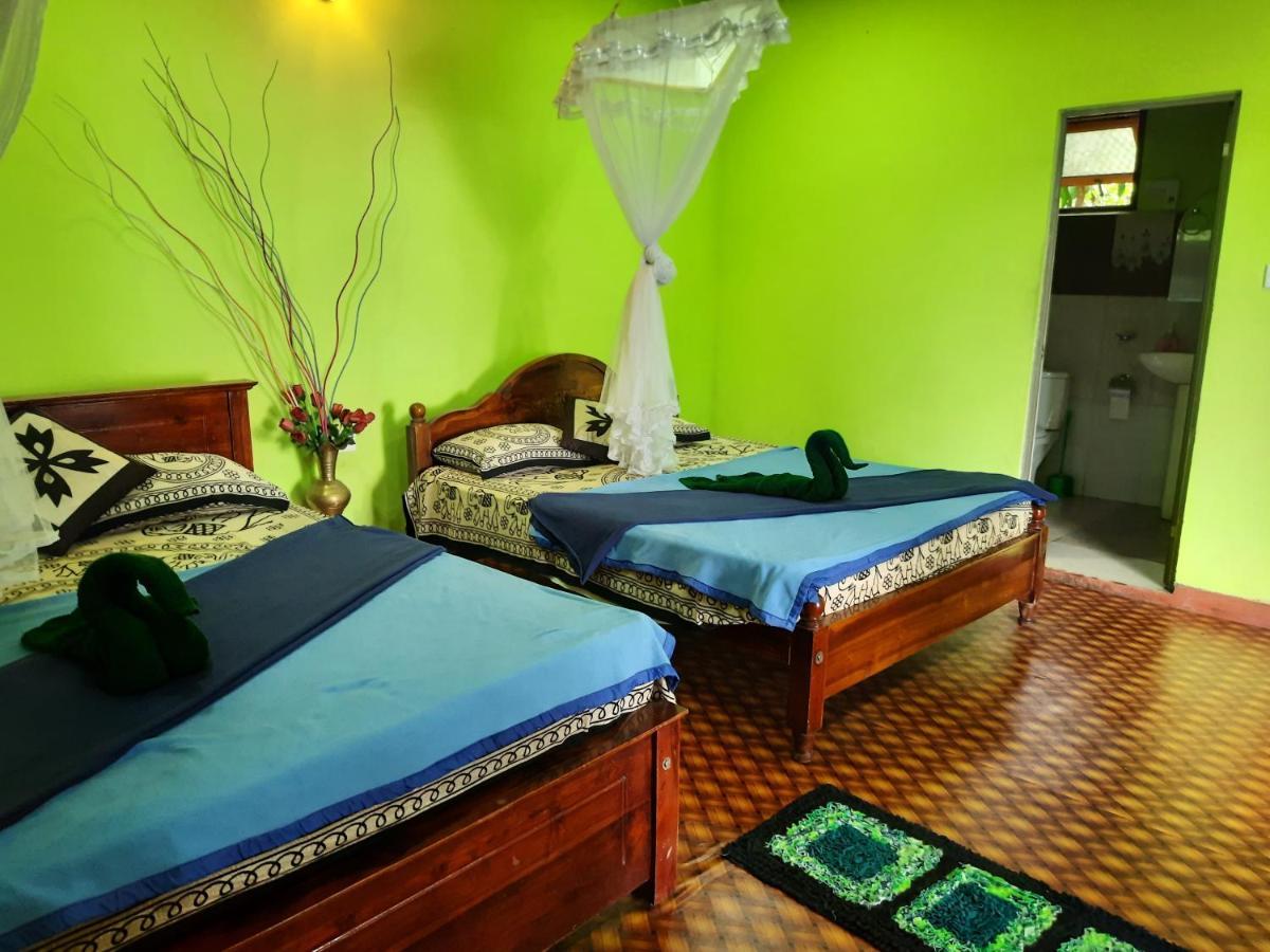 אלה Green Heaven Lodge מראה חיצוני תמונה