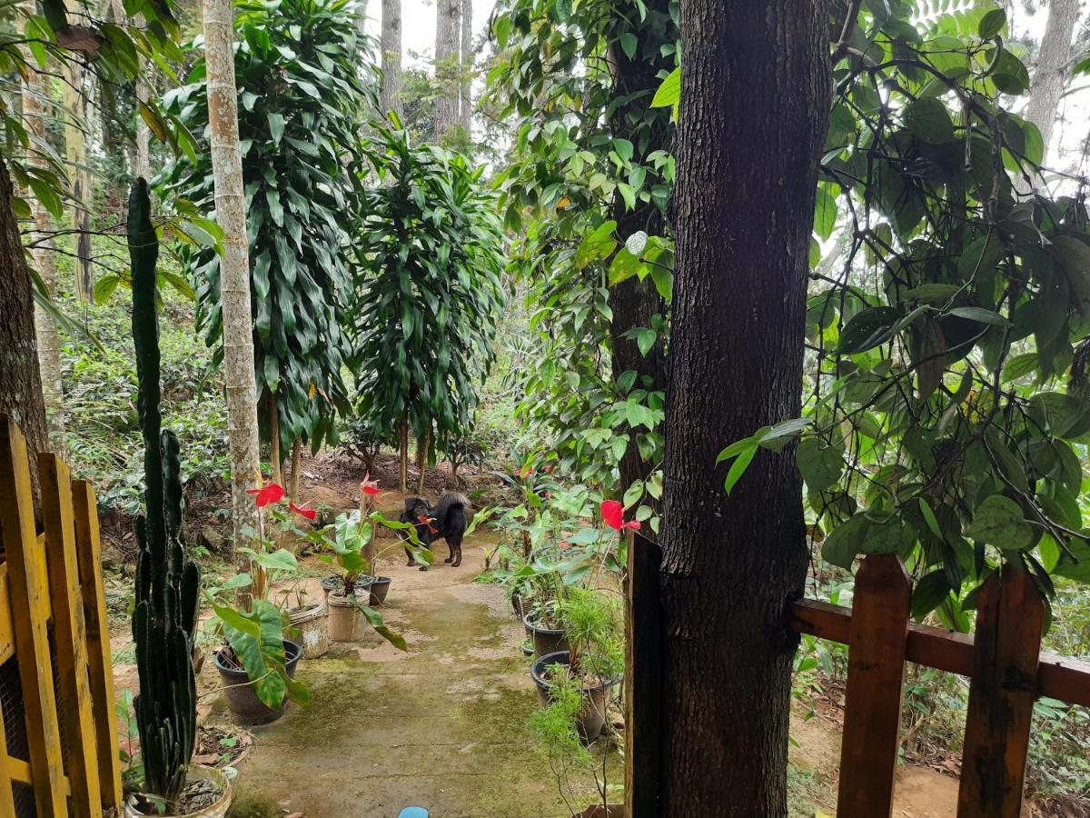אלה Green Heaven Lodge מראה חיצוני תמונה