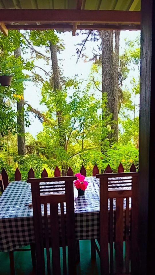 אלה Green Heaven Lodge מראה חיצוני תמונה
