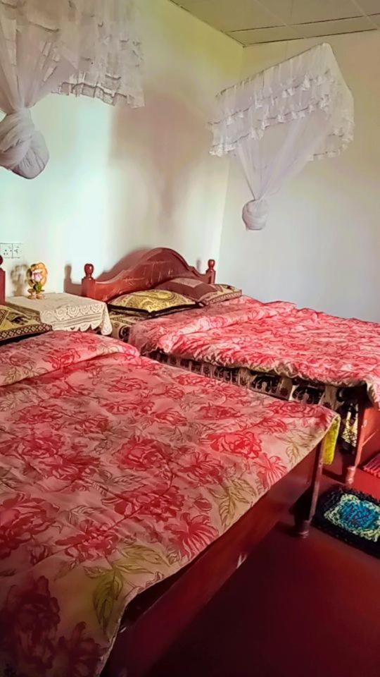 אלה Green Heaven Lodge מראה חיצוני תמונה