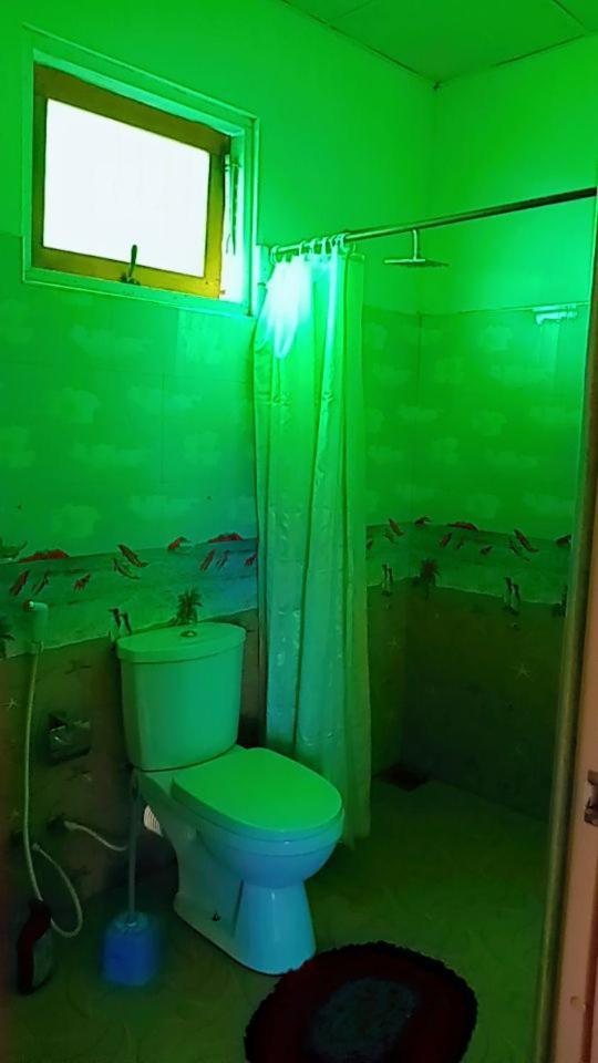 אלה Green Heaven Lodge מראה חיצוני תמונה