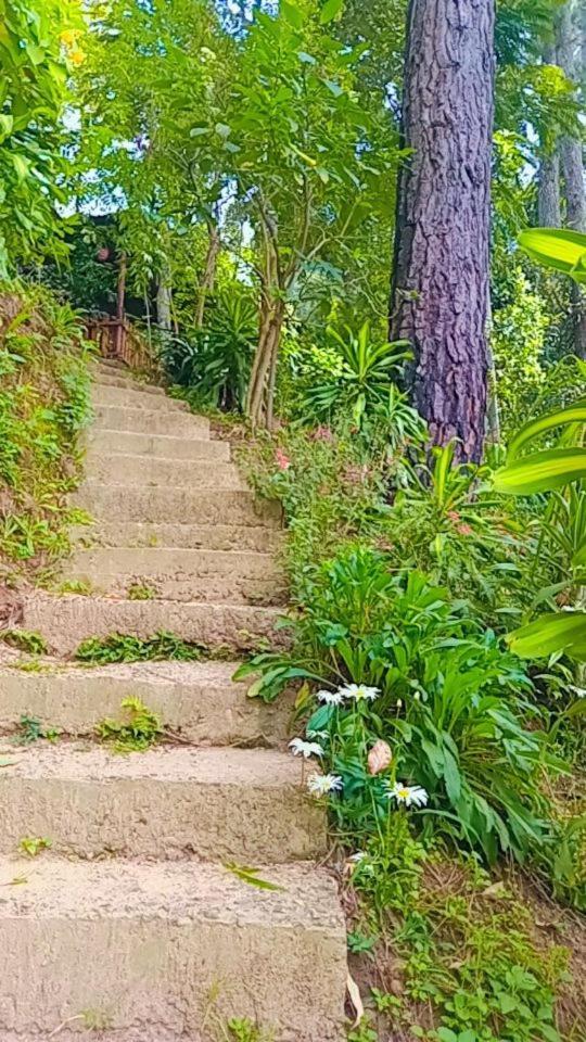 אלה Green Heaven Lodge מראה חיצוני תמונה
