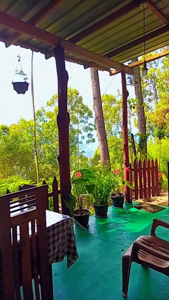 אלה Green Heaven Lodge מראה חיצוני תמונה