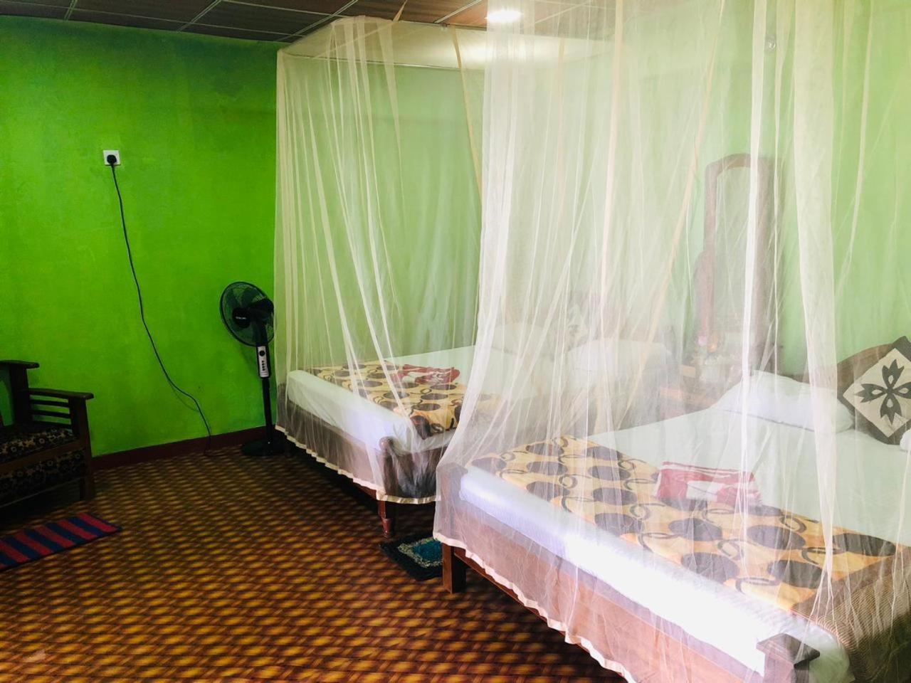 אלה Green Heaven Lodge מראה חיצוני תמונה